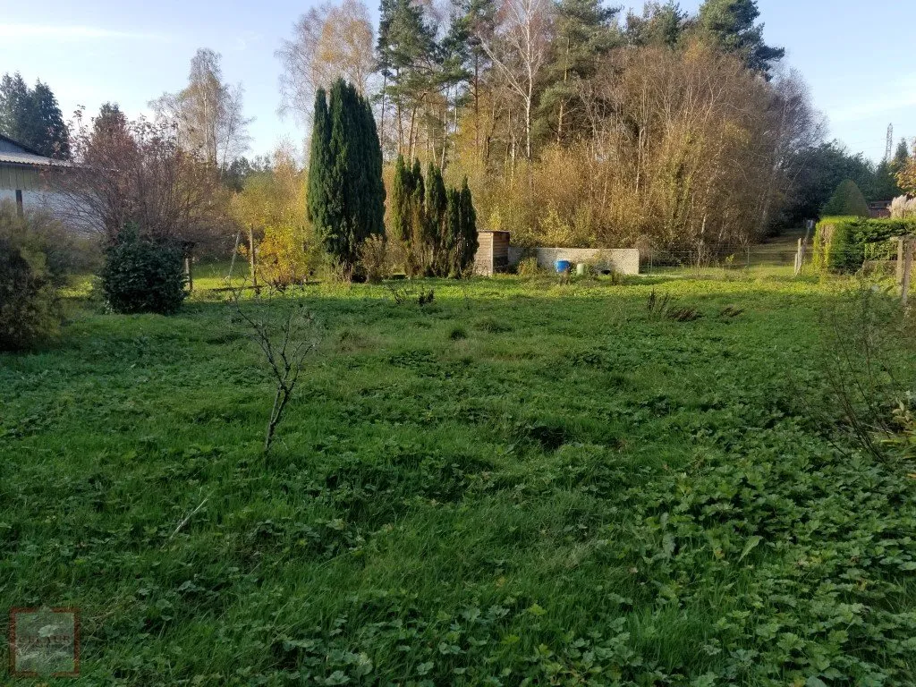 BEAUTIFUL HUT ENTERS EGLETONS AND TULLE