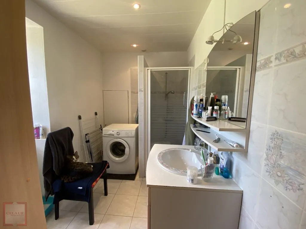 COUNTRY HOUSE WITH OUTBUILDINGS ON THE DORDOGNE BORDER-BIS