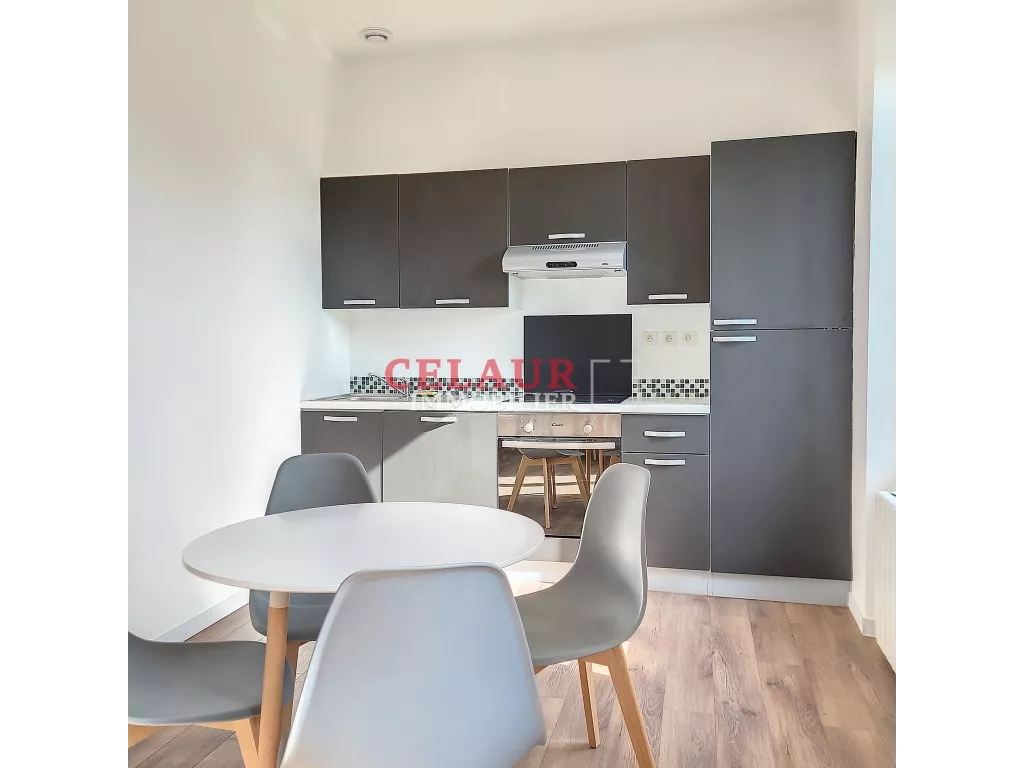 Bel appartement meublé entièrement renové