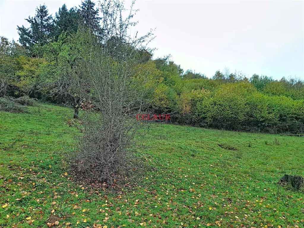 Maison avec terrain et dépendance